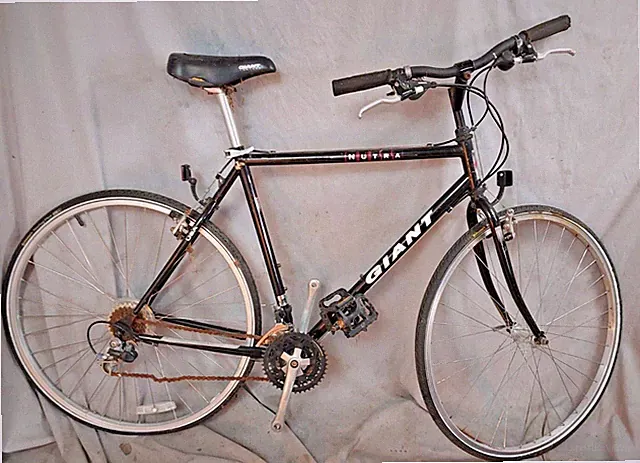 1993 Giant Nutra Hybrid Bike 21" X-Large Chromoly Steel Triple Trigger Ships USA