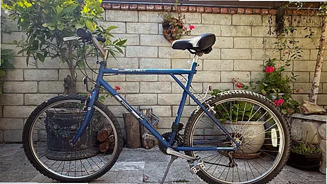GT Outpost Trail Mountain Bike ~ 21 Speed~ Triple Triangle Frame