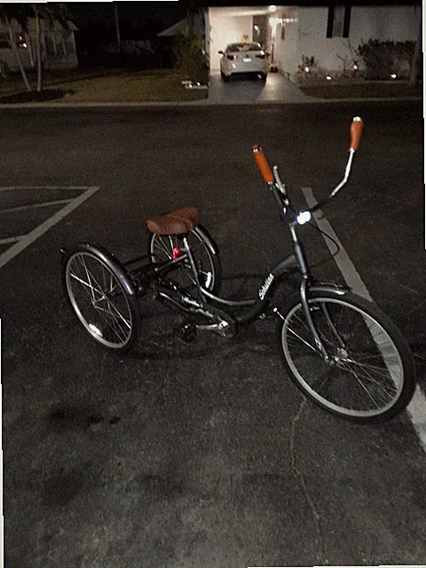 Shwinn Trike Bike